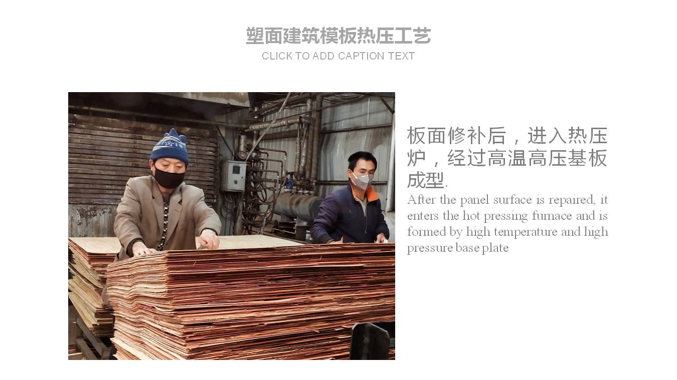 耐用塑面環(huán)保建筑模板